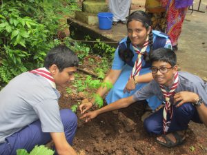 Read more about the article Vanamahotsav